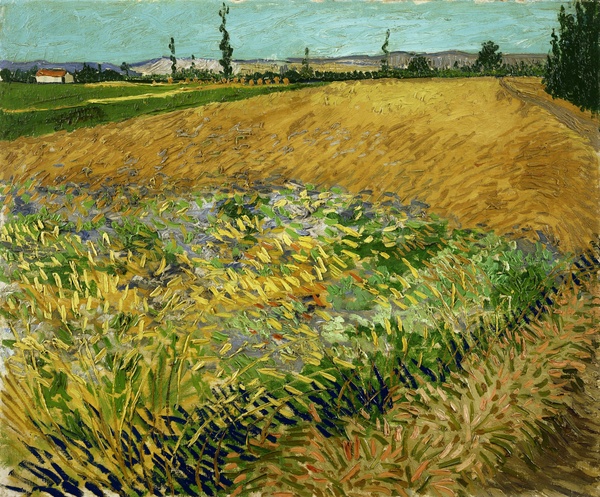 Wheatfield - Vincent van Gogh (1888)