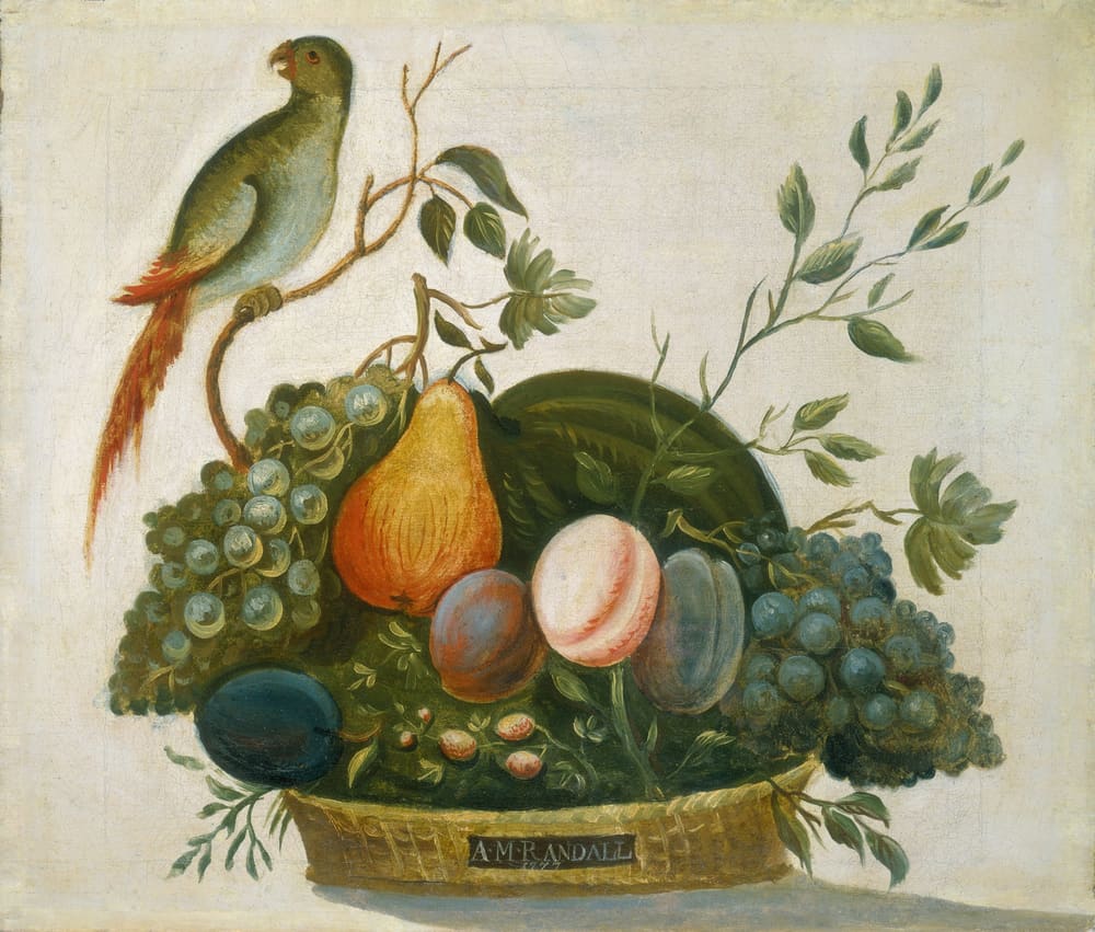 Basket of Fruit with Parrot - A.M. Randall