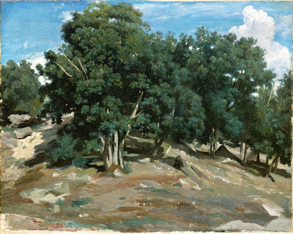 Fontainebleau: Oak Trees at Bas-Bréau - Jean-Baptiste-Camille Corot (1832 or 1833)