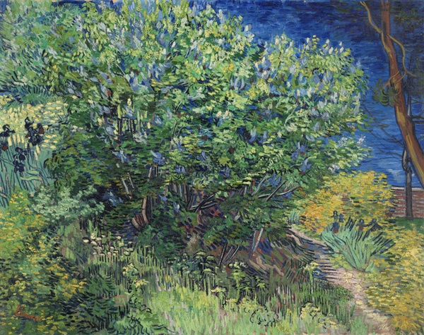 Lilac Bush - Vincent van Gogh (1889)