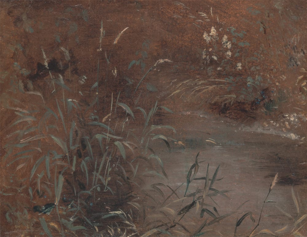 Rushes by a Pool - John Constable (ca. 1821)
