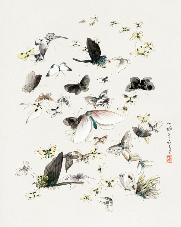 Butterfly and Moth - Katsushika Hokusai (1830–1850)