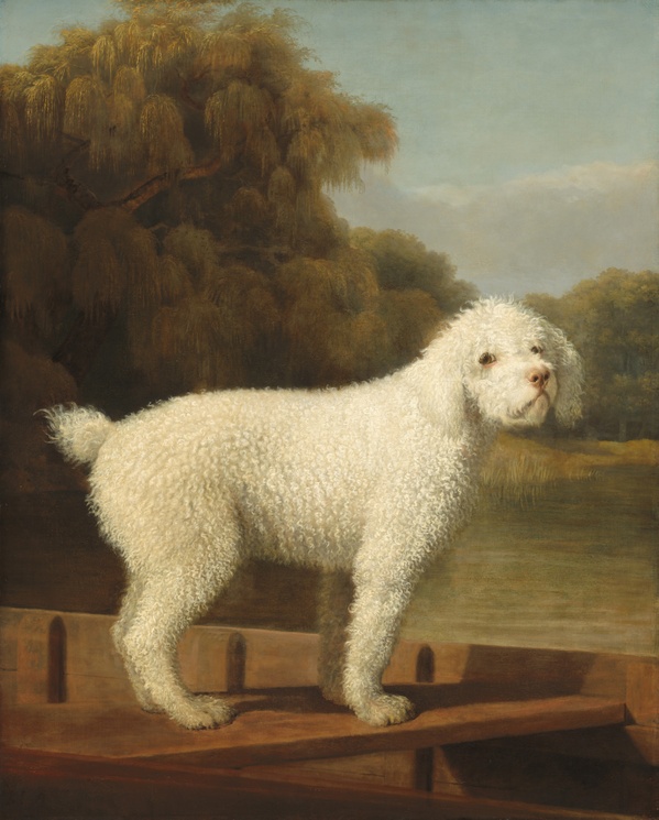 White Poodle in a Punt - George Stubbs (c. 1780)