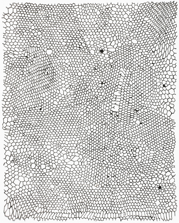 Untitled (Nets) - Rachel Whiteread (2002)