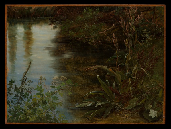 Study of Water and Plants - Thomas Fearnley (1837)