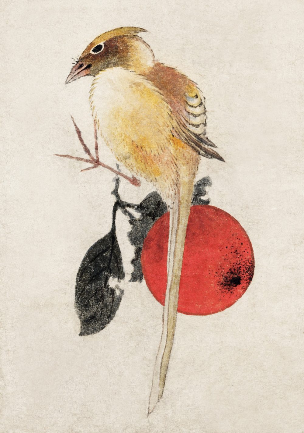 Bird (Album of Sketches by Katsushika Hokusai and His Disciples) - Katsushika Hokusai (19th century)