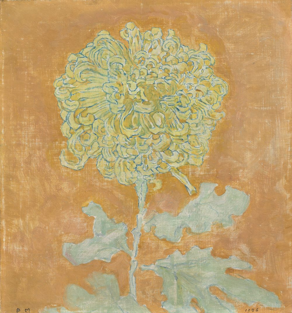 Chrysanthemum - Piet Mondrian (1906)