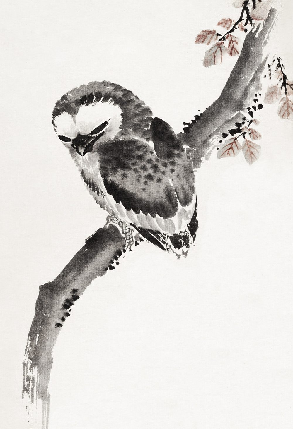 Japanese Owl, Album of Sketches - Katsushika Hokusai (1814)