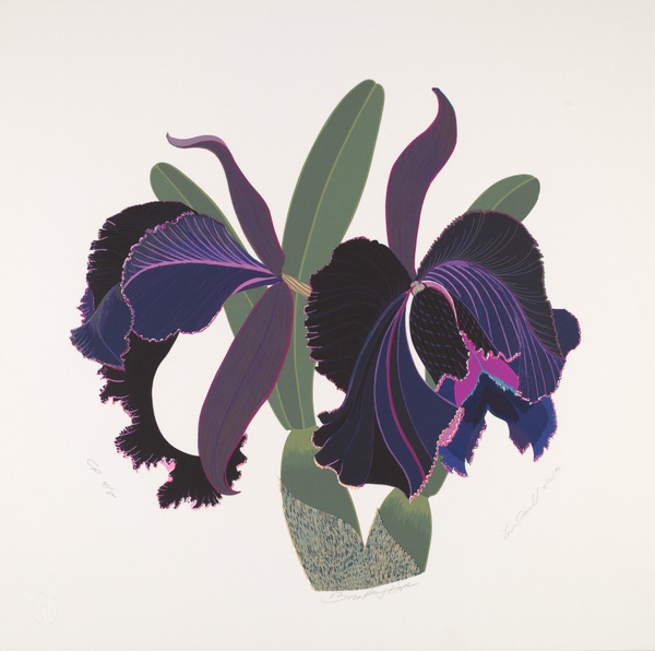 Breathing Hope - Lou Stovall (1996)