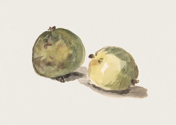 A Letter to Eugène Maus, Decorated with Two Apples - Édouard Manet (1880)