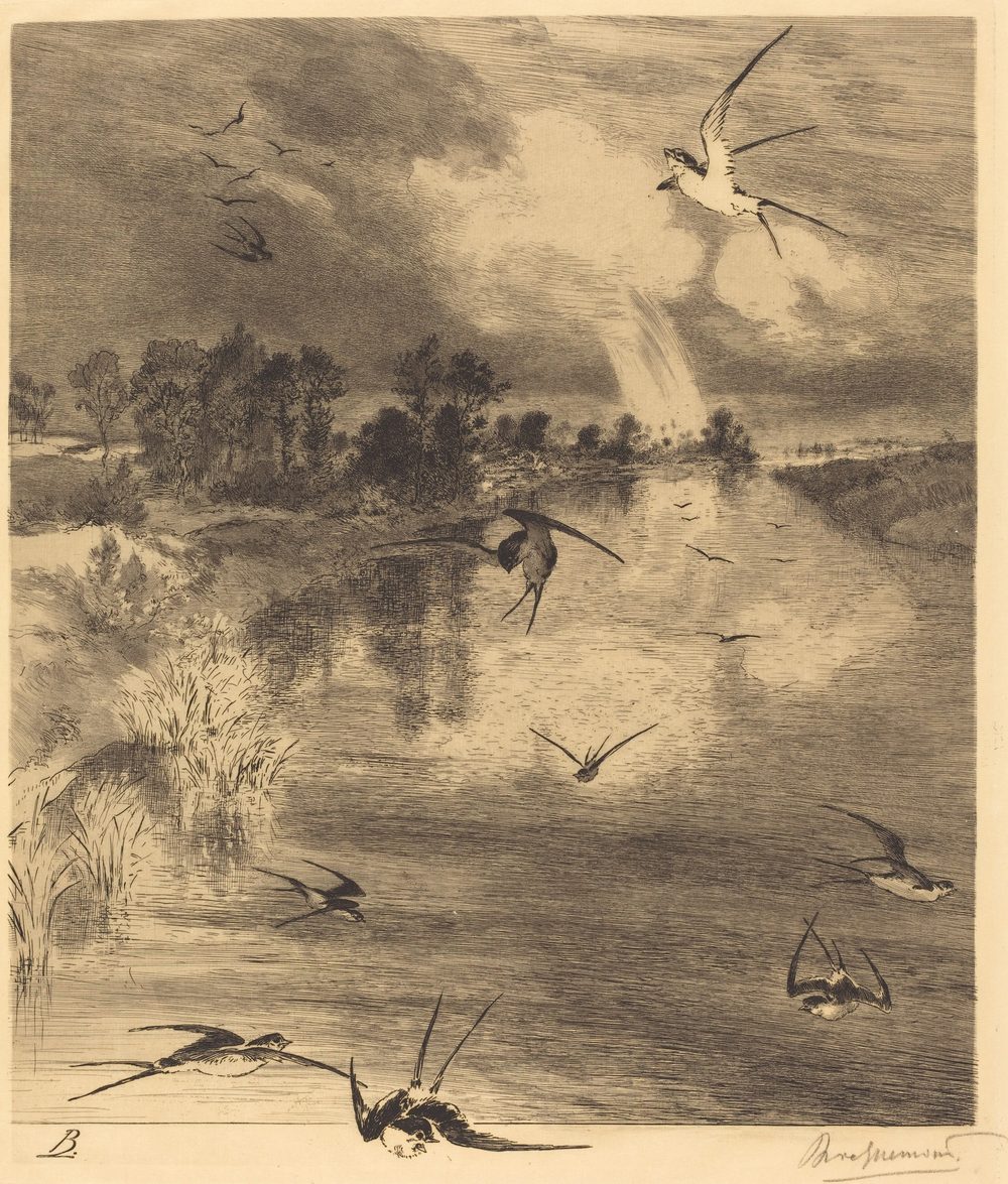 Les Hirondelles (The Swallows) - Félix Bracquemond (1882)
