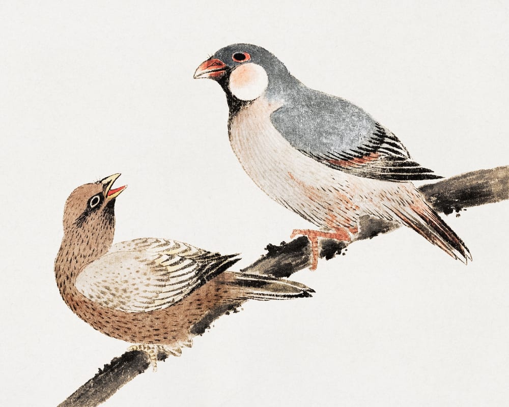 Katsushika Hokusai's Birds, Album of Sketches - Katsushika Hokusai (19th century)