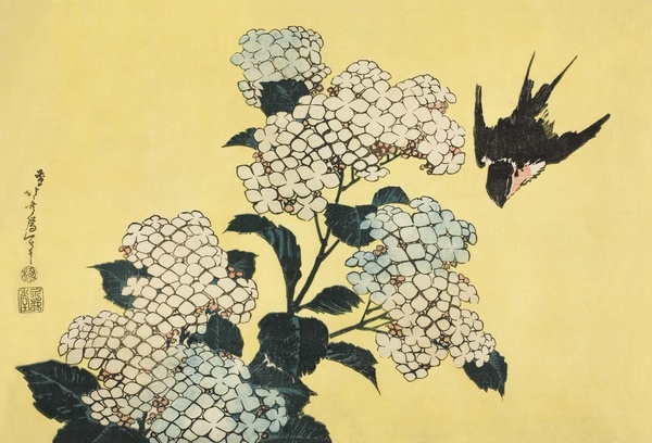 Hydrangea and Swallow, from an Untitled Series of Large Flowers - Katsushika Hokusai (c. 1833–1834)
