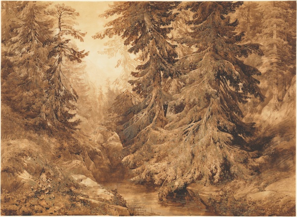 An Ancient Pine Forest with a Mountain Stream - Alexandre Calame (1847)