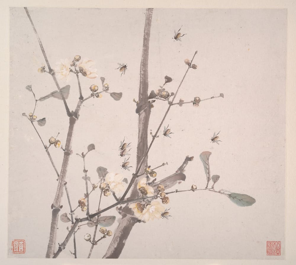 Insects and Flowers - Ju Lian