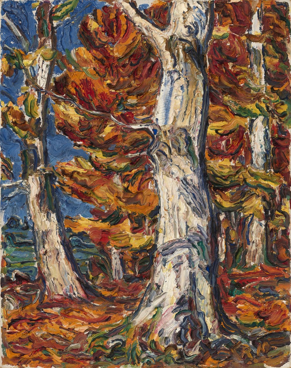 White Beeches in Fall - Christian Rohlfs (1912)