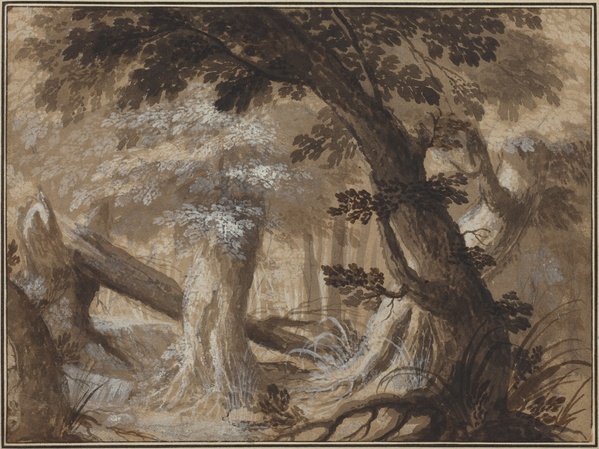 Forest Interior - Flemish 17th Century (c. 1650)
