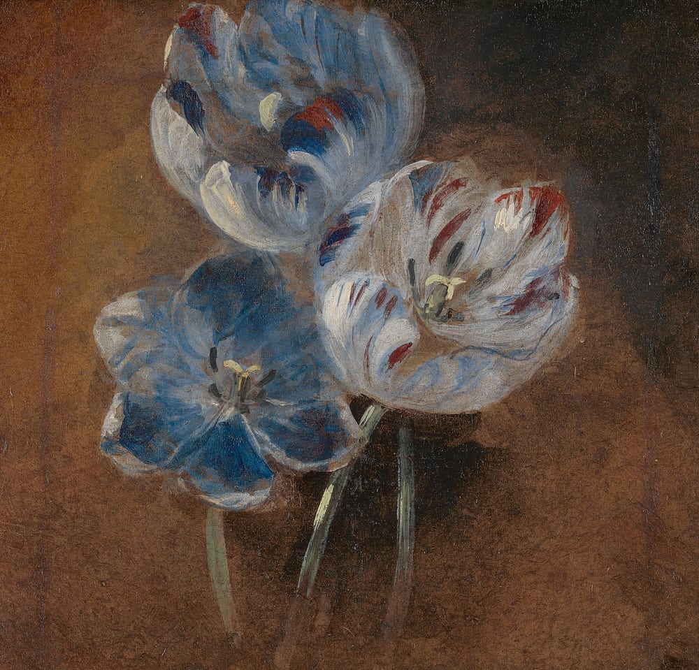Study of Three Parrot Tulips - Attributed to John Constable (ca. 1832)
